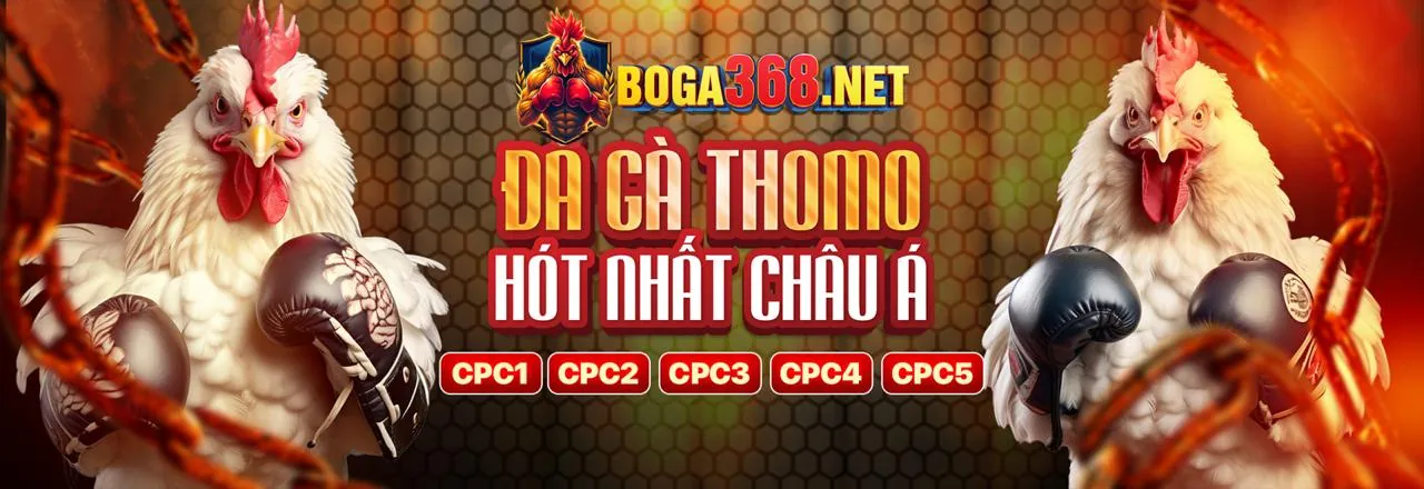 Đá Gà Trực Tuyến vz999
