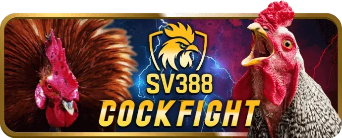 Hoàn trả hàng ngày VZ999