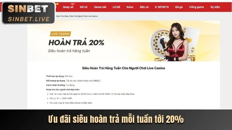 Hoàn trả hàng ngày cho Slot game